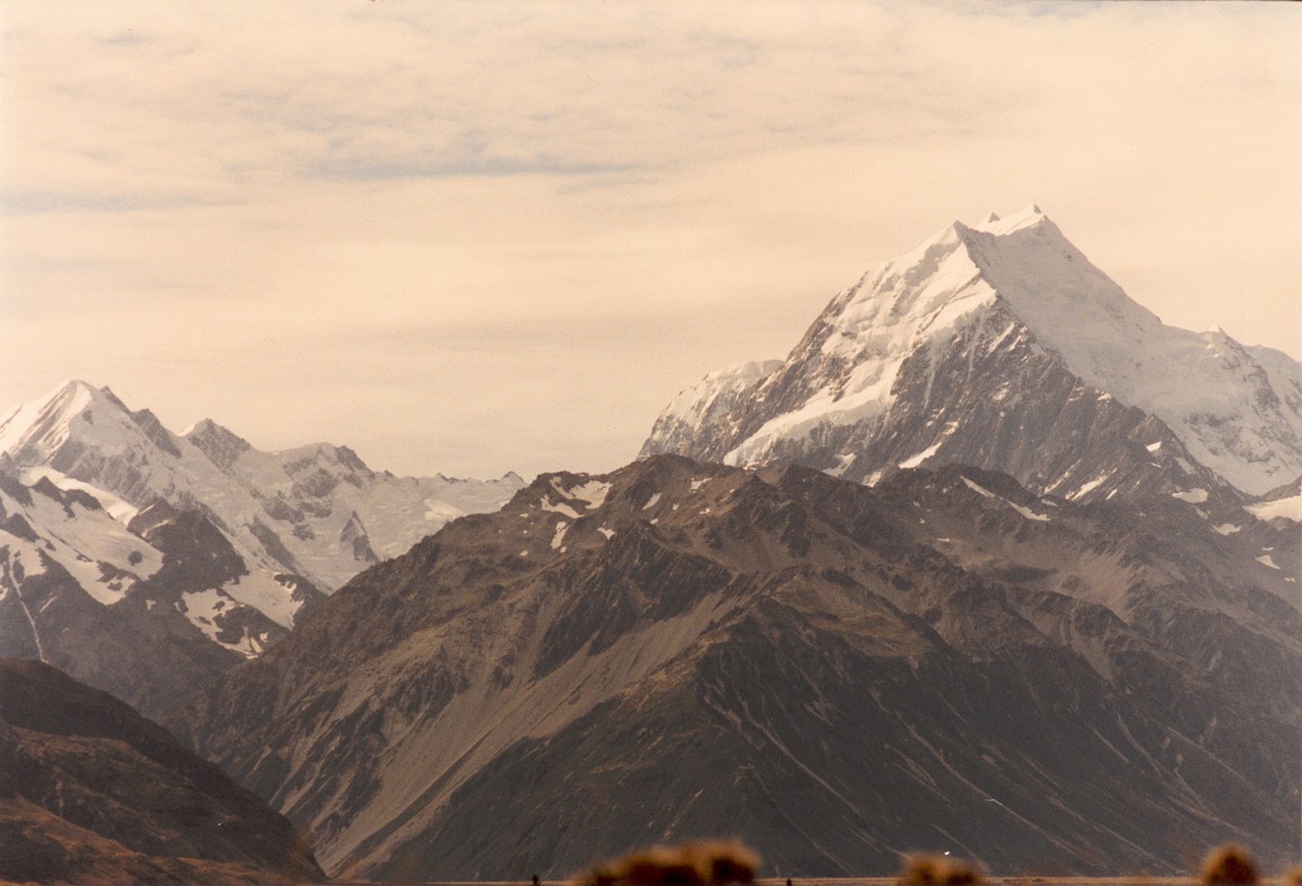 nz 10.jpg